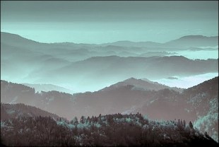 misty hills