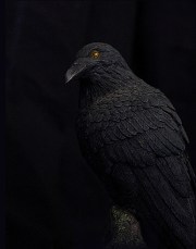 raven nevermore