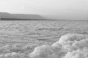 dead sea salt