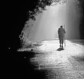 WALKING IN THE LIGHT