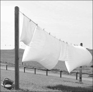 clothesline