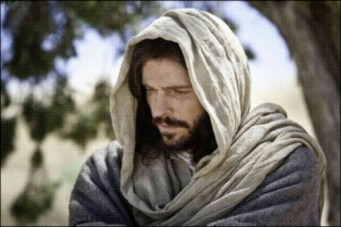 cHRIST IN cONTEMPLATION