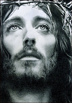 Christ Crown of Thorns